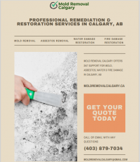 Mold Removal & Water Damage Restoration Company In Calgary