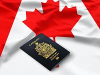 Best Immigration Lawyers in Brampton