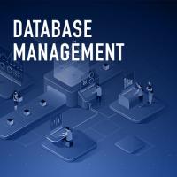 Database Management Services in Delhi