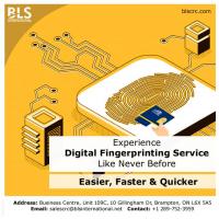 Digital Fingerprinting Services | Fingerprinting Services