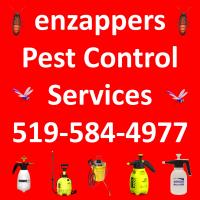 Hamilton Pest Control Services, Hamilton Ontario