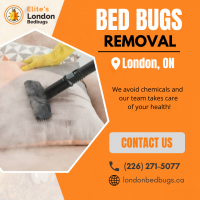 Bed Bugs Removal London