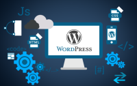 Get the Best WordPress Website Development Services and Take Advantage of It